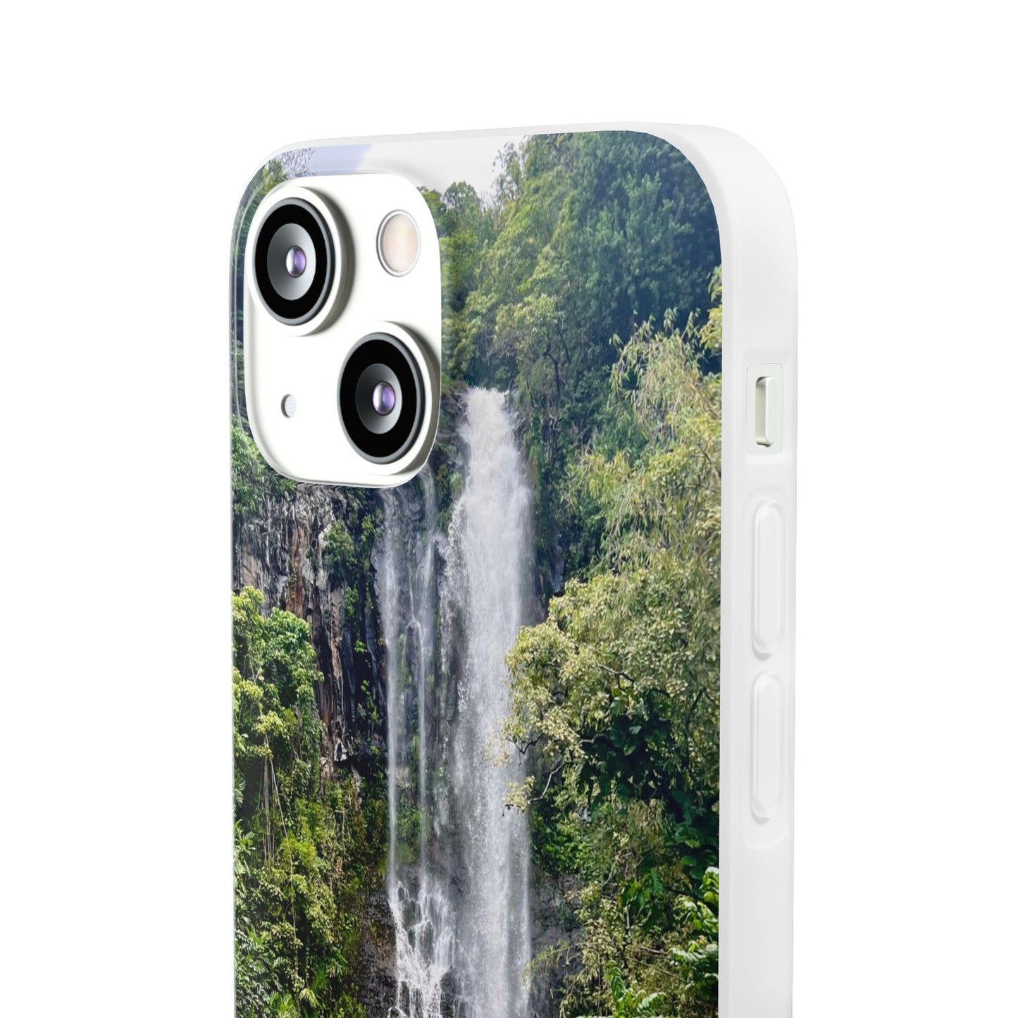 fine.falls Case
