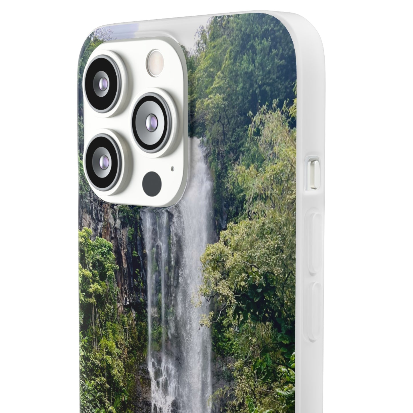 fine.falls Case